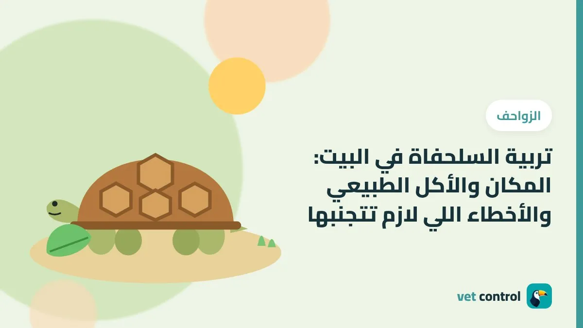 رسمة سلحفاة بنية على الرمل بجانب ورقة خس