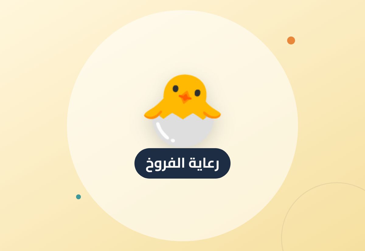 رعاية فروخ طيور الزينة: نظرة عامة من الحضانة حتى الفطام