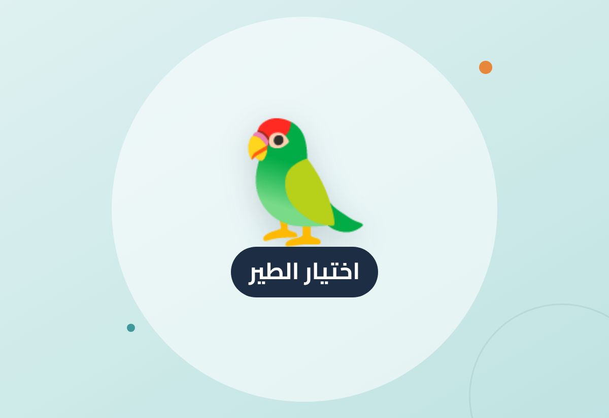 كيف تختار طير الزينة المناسب لك؟ دليل المبتدئ والمحترف