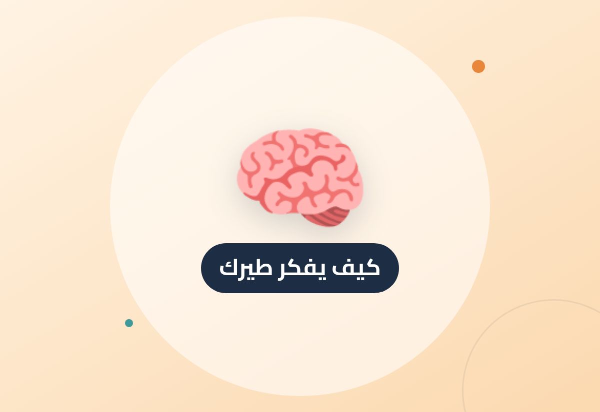 كيف يفكر طيرك؟ الذاكرة والمشاعر وطريقة التعلم عند طيور الزينة