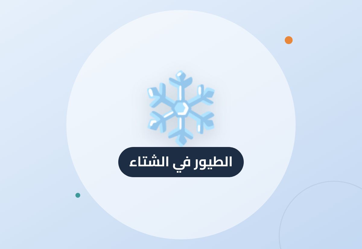 العناية بطيور الزينة في الشتاء: الدفء والأكل والترويش